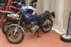pict0056_small.jpg